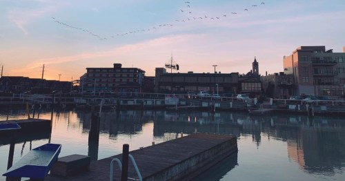 A serene waterfront scene at sunset, with buildings reflecting in the water and birds flying overhead.