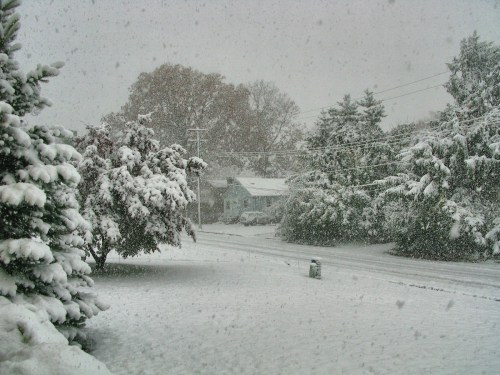 A snowy landscape with trees and a house, blanketed in white snowflakes, creating a serene winter scene.