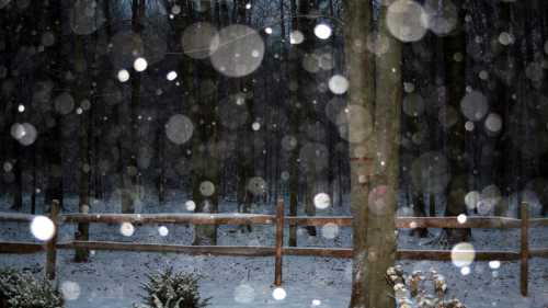 A snowy forest scene with softly falling snowflakes and a wooden fence in the foreground.