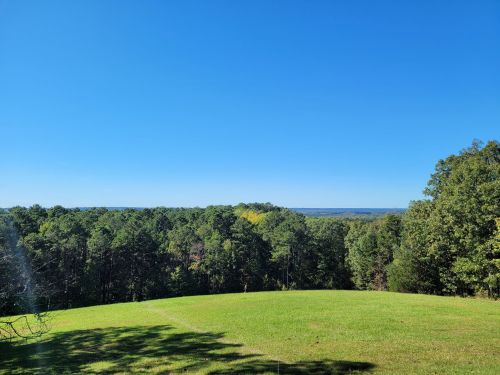 A clear blue sky above a lush green landscape with trees and a distant horizon.