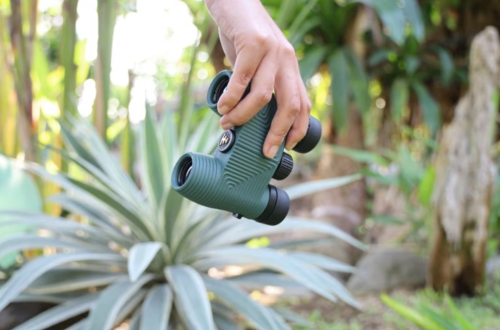 A hand holds a green pair of binoculars above a tropical plant in a lush garden setting.