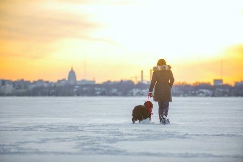A person walks a dog on a snowy landscape at sunset, with a city skyline in the background.