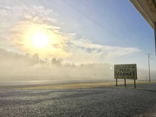 A foggy morning scene featuring a sign for Green's Flea Market with the sun rising in the background.