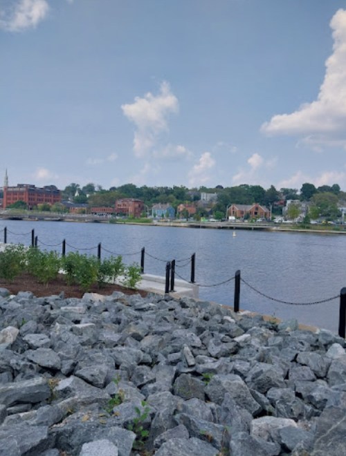 A scenic view of a river with rocky shore, greenery, and buildings in the background under a partly cloudy sky.