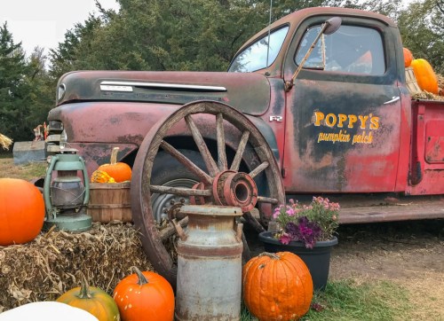 A vintage truck with pumpkins and a lantern, surrounded by hay bales and autumn decorations at a pumpkin patch.