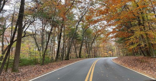 A winding road surrounded by trees with autumn leaves in vibrant colors, creating a serene fall landscape.