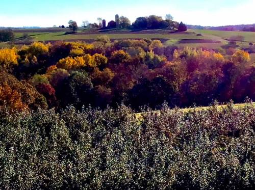 A scenic landscape featuring rolling hills, colorful autumn trees, and a clear blue sky.