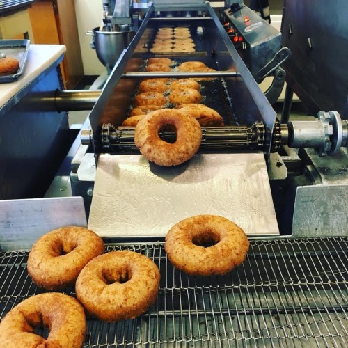 A conveyor belt with freshly made donuts cooling on a rack in a bakery.