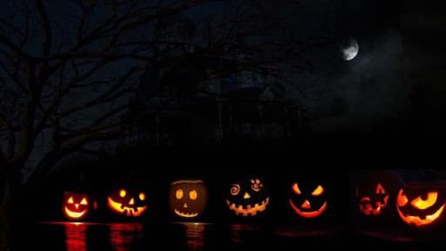 A row of glowing jack-o'-lanterns against a dark, moonlit background with a spooky tree silhouette.