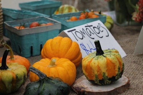 Colorful pumpkins and tomatoes displayed at a market, with a sign reading "Tomatoes" and prices visible.