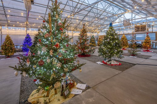 A festive greenhouse filled with decorated Christmas trees, twinkling lights, and holiday ornaments.