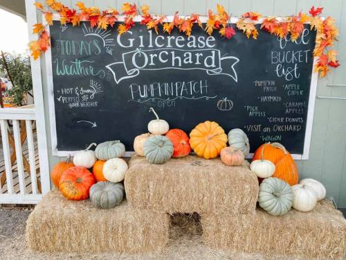A rustic display of pumpkins on hay bales with a chalkboard sign announcing the pumpkin patch and fall activities.