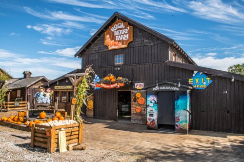 A rustic farm building with pumpkins outside, featuring signs for an exit and an ATM, under a clear blue sky.