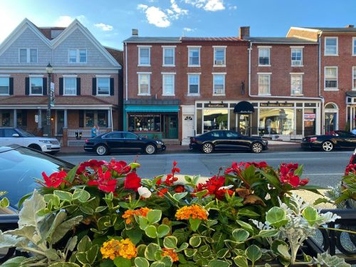 A street view featuring colorful flowers in the foreground and charming brick buildings with shops in the background.