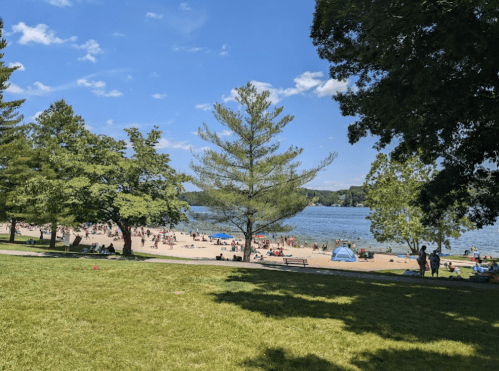 A sunny beach scene with people relaxing on the sand, surrounded by trees and a calm lake under a blue sky.