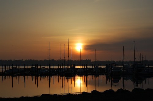 Sunset over a calm marina, with silhouetted boats and masts reflecting on the water's surface.