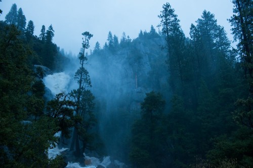 A misty forest scene with tall trees and a waterfall cascading down rocky cliffs in a blue-toned atmosphere.