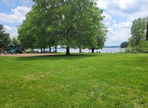 A grassy park with a large tree, playground equipment, and a lake in the background under a partly cloudy sky.