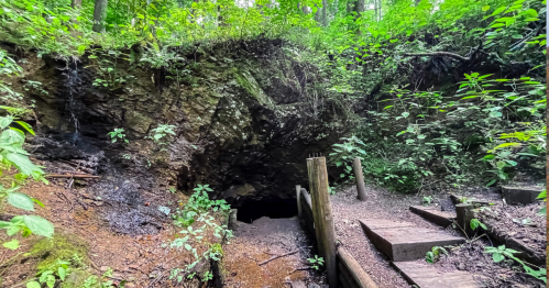 A dark cave entrance surrounded by lush greenery and wooden steps leading down into the forest.