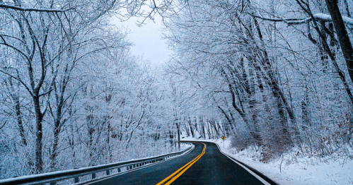 A winding road through a snowy landscape, flanked by trees covered in white frost.