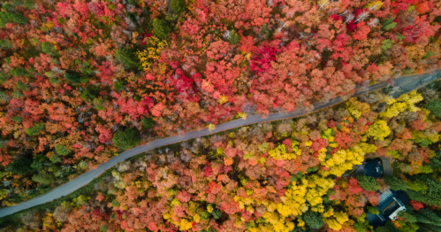 An aerial view of the Alpine Loop Scenic Byway surrounded by vibrant fall foliage.