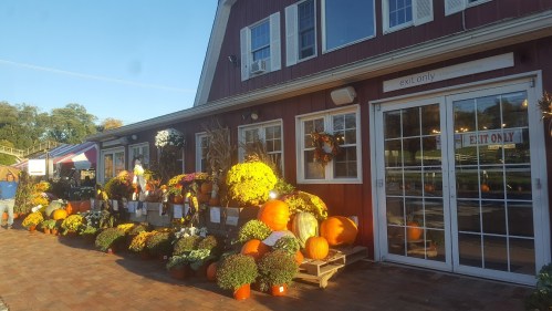 A red barn-style building with pumpkins and flowers displayed outside, featuring an "Exit Only" sign.