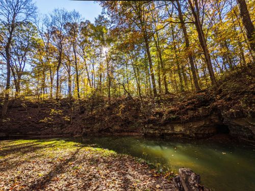 A serene forest scene with autumn foliage, a calm stream, and sunlight filtering through the trees.