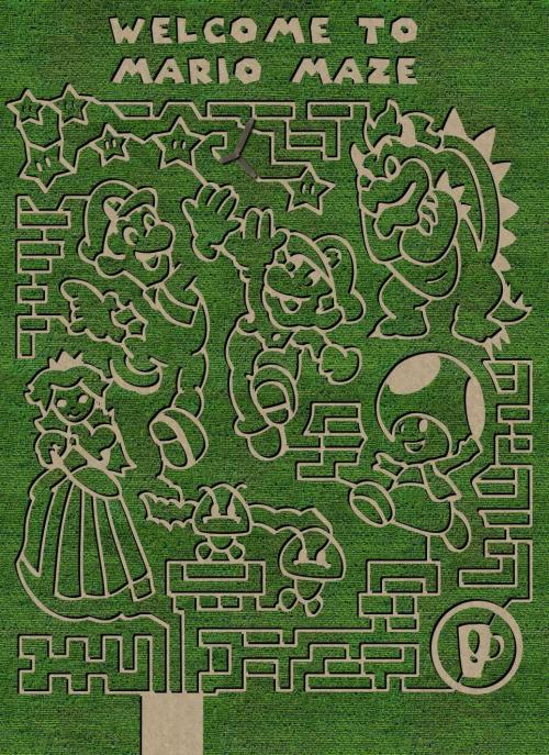 A maze design featuring Mario characters, including Mario, Luigi, Princess Peach, and Bowser, with a "Welcome to Mario Maze" sign.