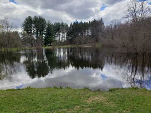 A serene pond reflecting trees and clouds, surrounded by grassy banks and a peaceful natural setting.