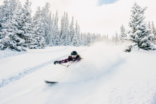 A skier carves through fresh snow on a winter trail, surrounded by tall, snow-covered trees under a blue sky.