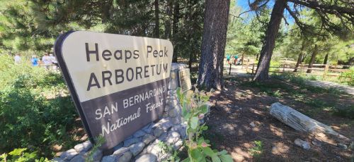 Sign for Heaps Peak Arboretum in San Bernardino National Forest, surrounded by trees and greenery. Visitors in the background.