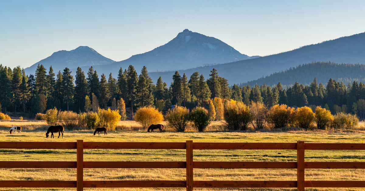 The Small Town in Oregon That Comes Alive in the Fall Season
