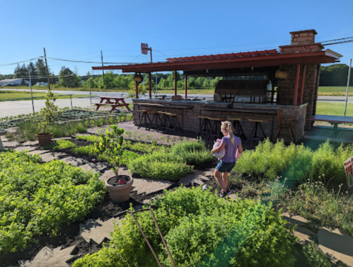 A child walks through a lush garden with herbs, near a rustic outdoor bar and picnic area under a clear blue sky.