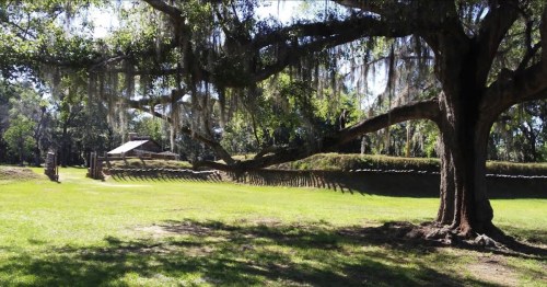 A large tree with Spanish moss stands over a grassy area, with a wooden structure in the background and gentle slopes.