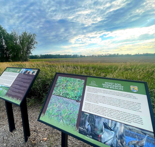 Two informational signs about moist soil management for wildlife, set against a backdrop of a grassy field and cloudy sky.
