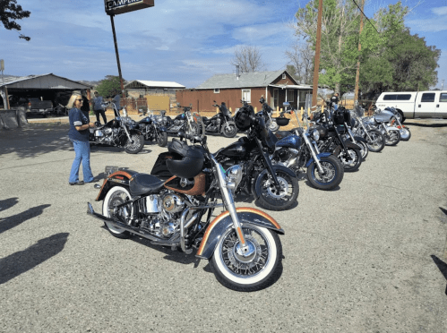 A row of parked motorcycles on a sunny day, with a person walking nearby and buildings in the background.