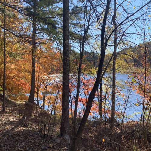 A serene lakeside scene with vibrant autumn foliage and tall trees under a clear blue sky.
