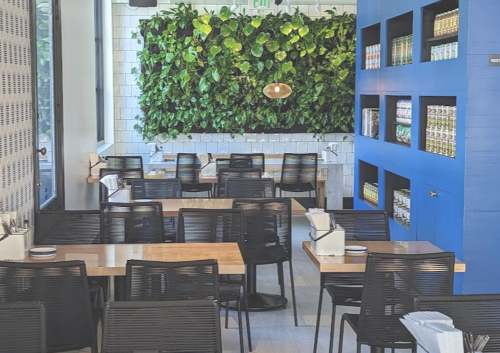 Modern restaurant interior with wooden tables, black chairs, and a green plant wall. Bright and inviting atmosphere.