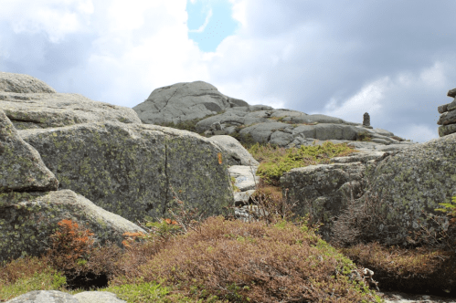 Rocky landscape with moss-covered boulders and sparse vegetation under a cloudy sky.