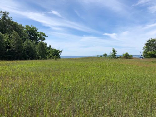 A grassy field with trees in the background under a blue sky with wispy clouds, leading to a distant body of water.