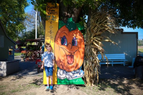 A child stands next to a large, colorful orange character painted on a wooden board, with a height chart beside it.
