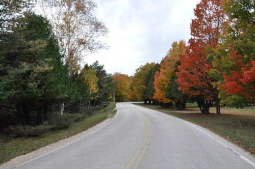 A winding road lined with trees displaying vibrant autumn foliage in shades of red, orange, and yellow.