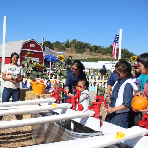 A group of people, including children, enjoy a farm activity with red pumps and sunflowers in a sunny outdoor setting.