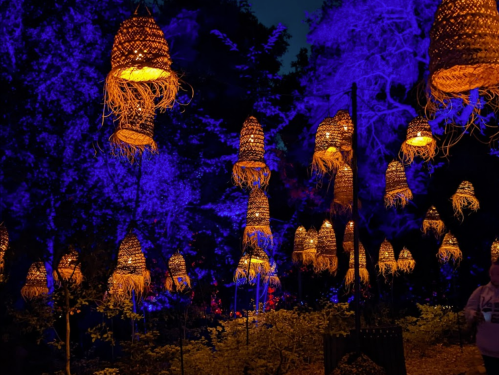 A nighttime scene with glowing woven lanterns hanging among trees, illuminated by blue and orange lights.