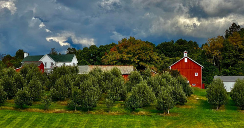 A scenic farm with red barns, a house, and rows of apple trees under a cloudy sky.