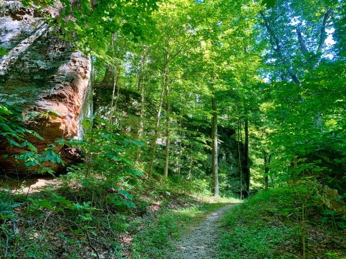 A serene forest path surrounded by lush green trees and rocky cliffs under bright sunlight.