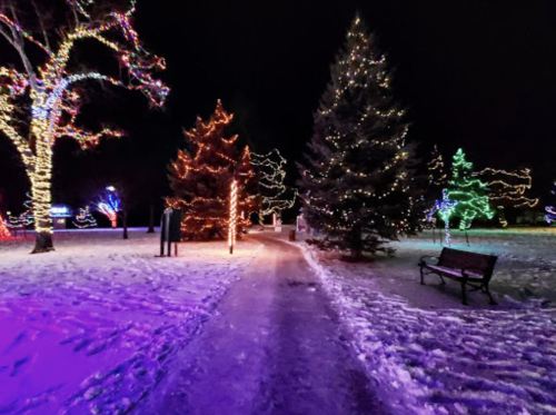 A snowy path illuminated by colorful holiday lights, lined with trees and a bench in a festive park at night.