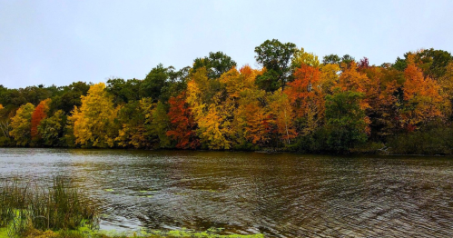 A serene river scene with vibrant autumn trees in shades of orange, yellow, and green lining the shore.