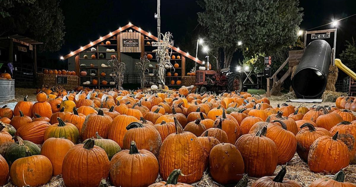 Here Are The 8 Absolute Best Pumpkin Patches In Utah To Enjoy In 2024