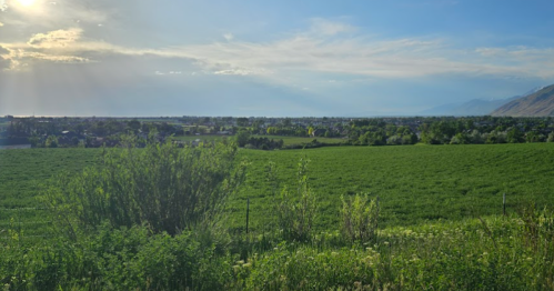 A scenic view of lush green fields under a blue sky with scattered clouds and distant mountains.